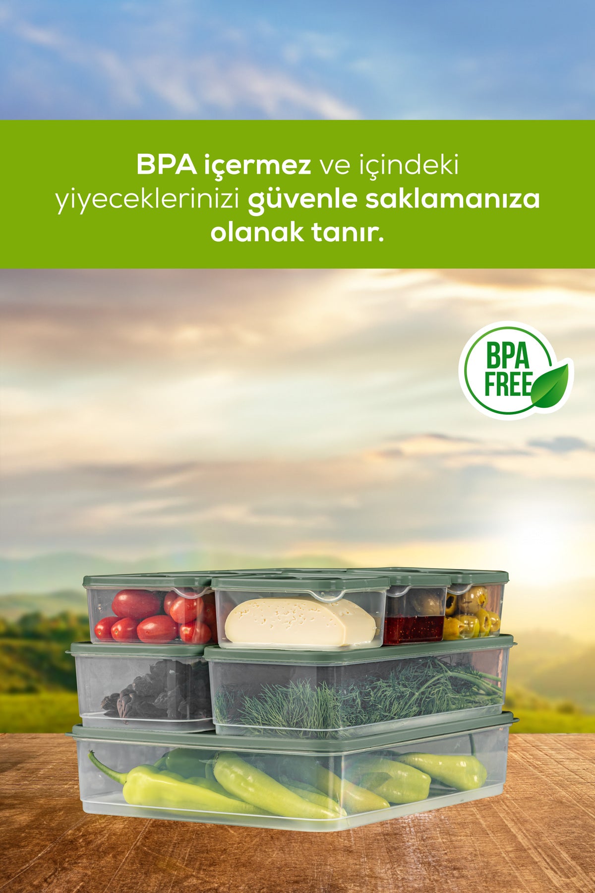 10'lu Buzdolabı Dondurucu Organizer Ve Saklama Kabı Yeşil 6x(350ML) 2x(1,65LT) 2x(1,75LT)
