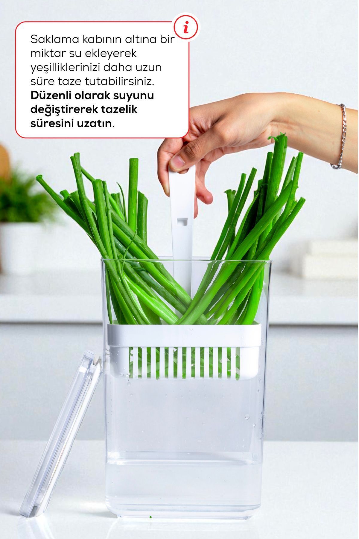 Süzgeçli Yeşillik Saklama Kabı 2,9 Litre