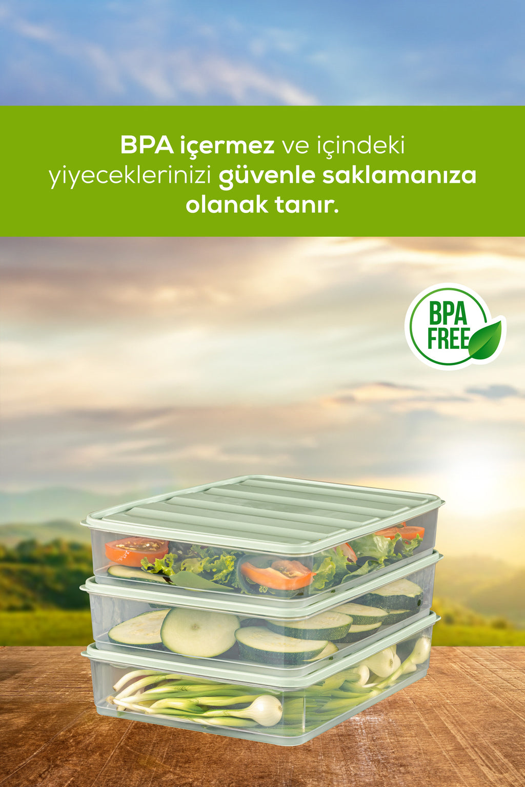 6'lı 3,5 Litre Buzdolabı Dondurucu Organizer Mikrodalga Ve Difrize Uygun Saklama Kabı Mint