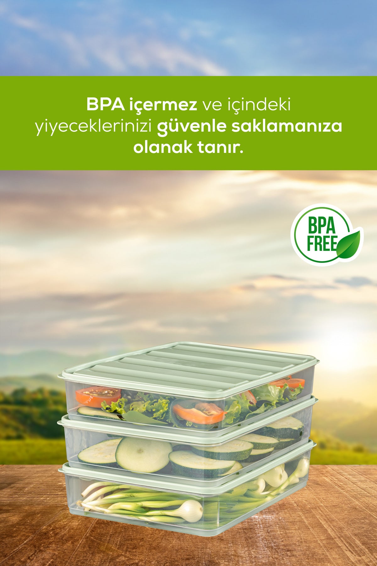 6'lı 3,5 Litre Buzdolabı Dondurucu Organizer Mikrodalga Ve Difrize Uygun Saklama Kabı Mint