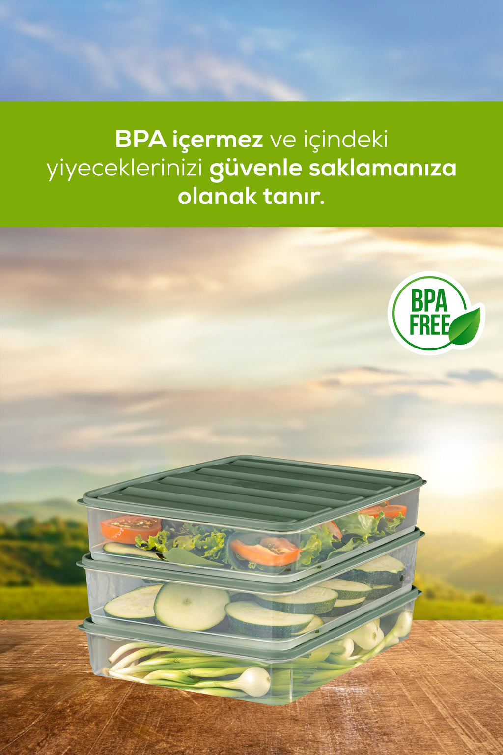 4'lü 3,5 Litre Buzdolabı Dondurucu Organizer Mikrodalga Ve Difrize Uygun Saklama Kabı Yeşil