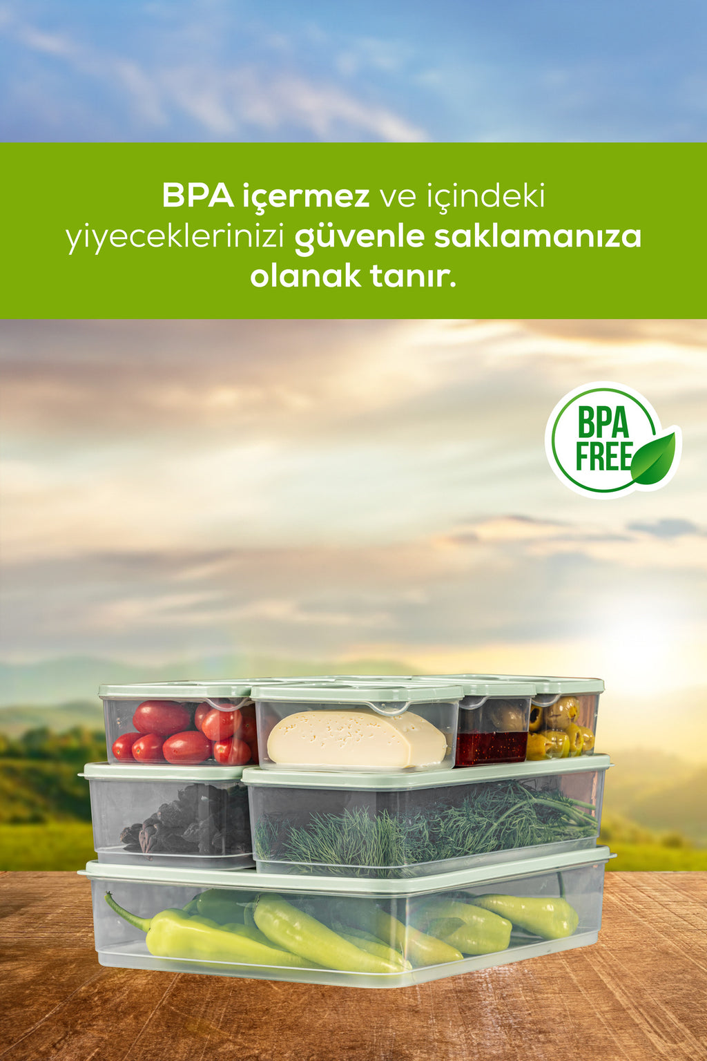 10'lu Buzdolabı Dondurucu Organizer Ve Saklama Kabı Mint 6x(350ML) 2x(1,65LT) 2x(1,75LT)