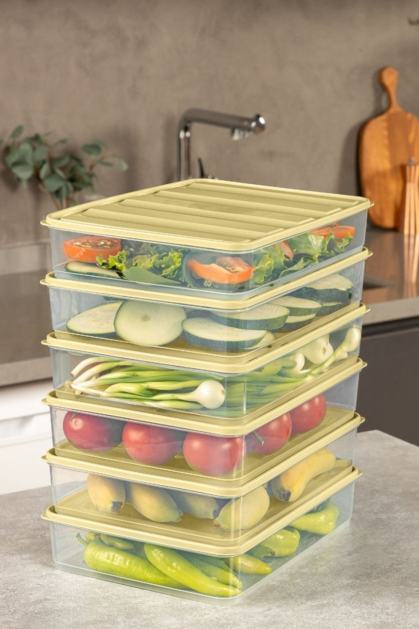 6'lı 3,5 Litre Buzdolabı Dondurucu Organizer Mikrodalga ve Difrize Uygun Saklama Kabı Gri